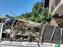Best Shed Removal  in Ely, NV